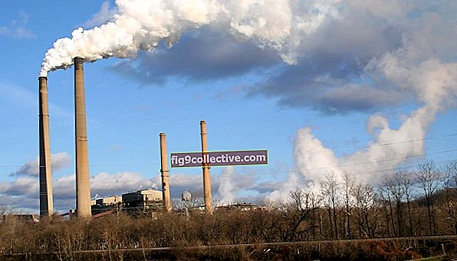 
   In che modo la tecnologia influisce sull'ambiente di lavoro oggi?
  